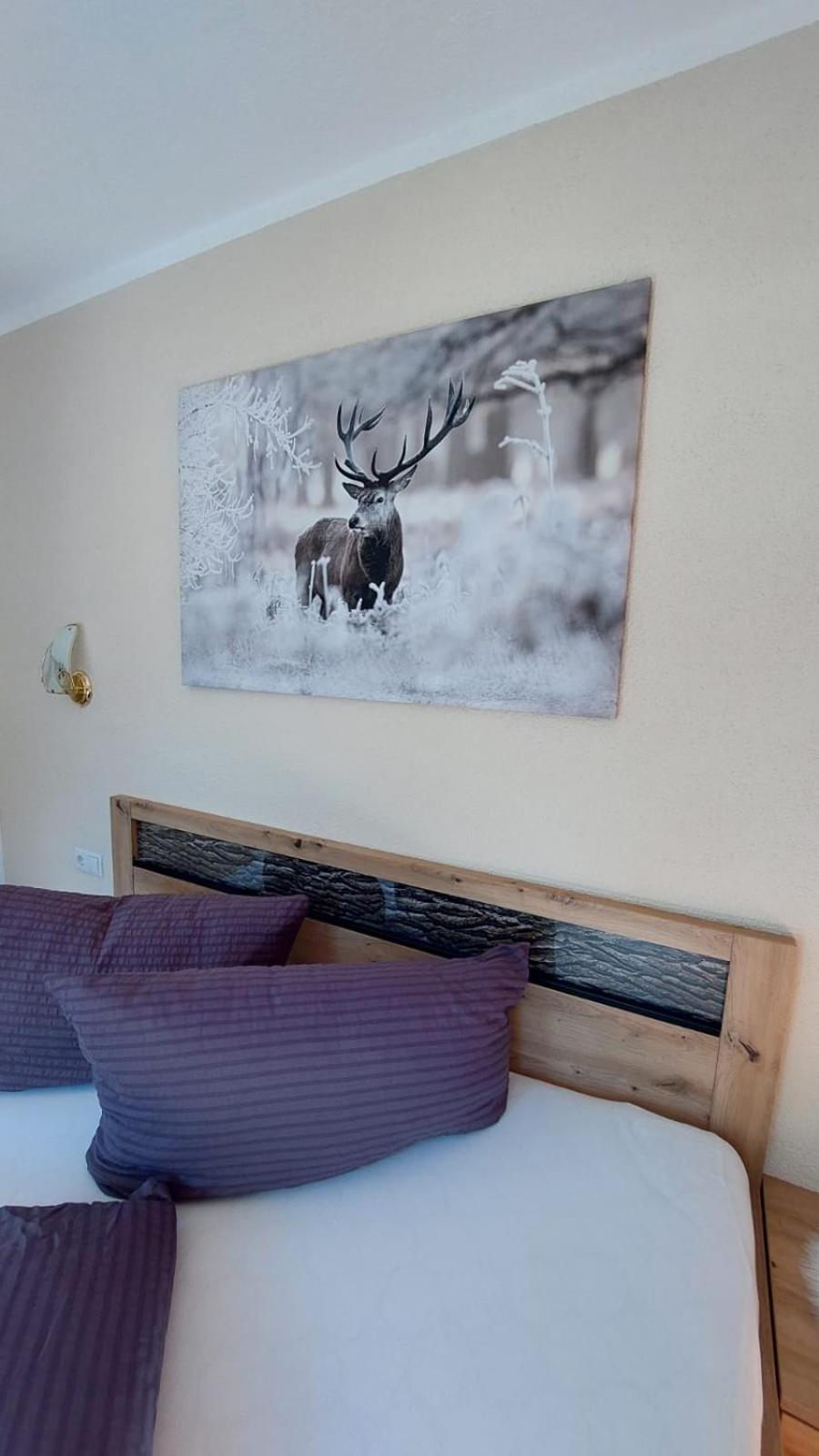 Haus Bergfreund Daire Sankt Leonhard im Pitztal Dış mekan fotoğraf