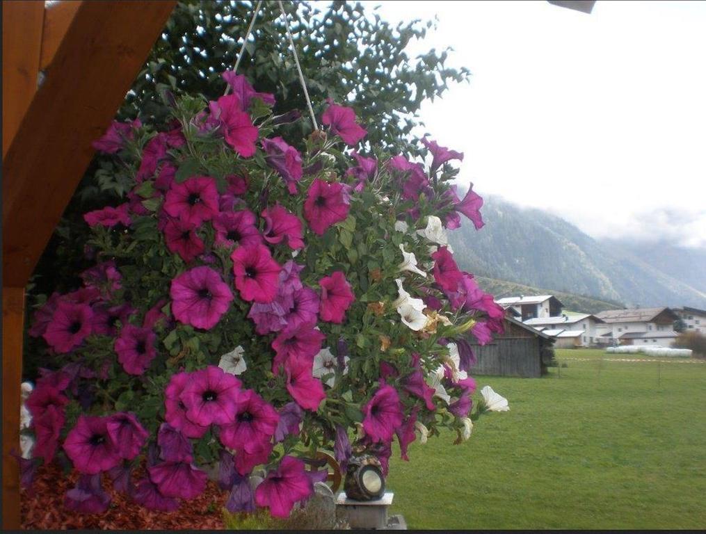 Haus Bergfreund Daire Sankt Leonhard im Pitztal Dış mekan fotoğraf