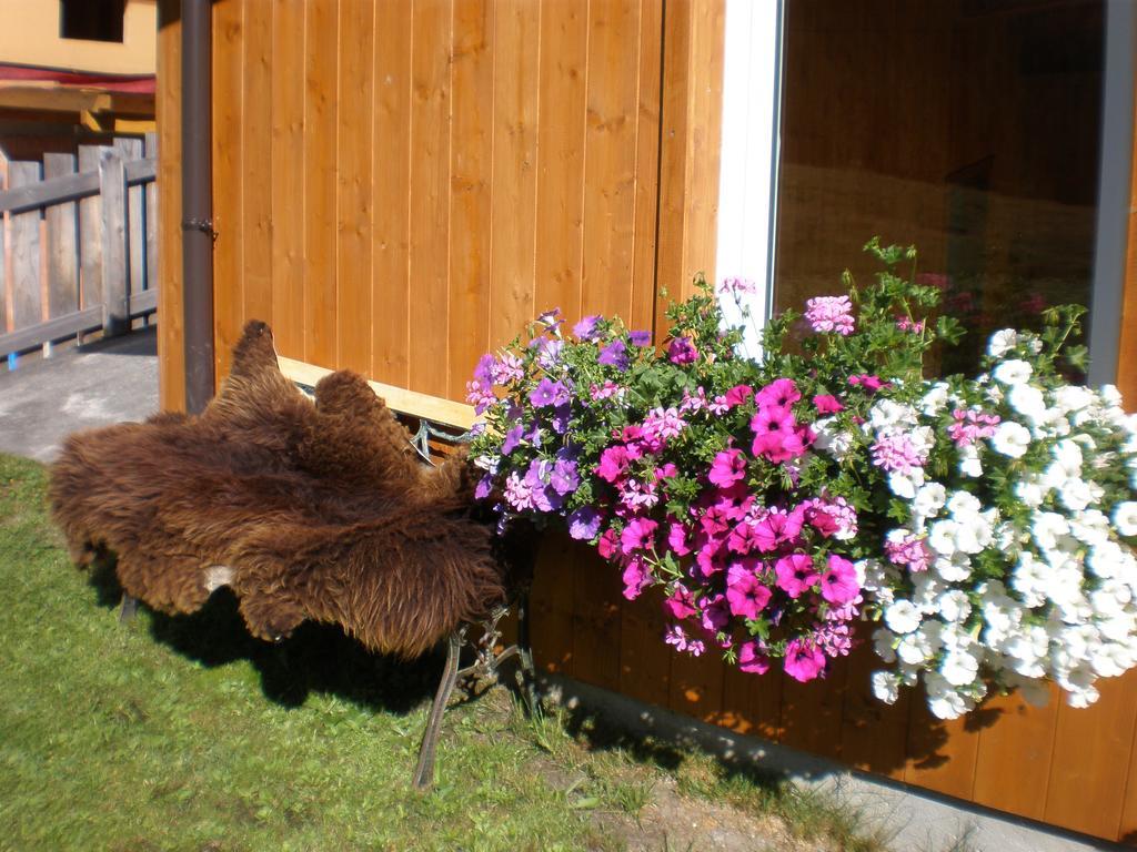 Haus Bergfreund Daire Sankt Leonhard im Pitztal Dış mekan fotoğraf