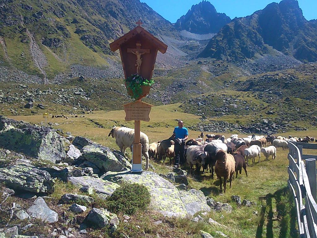 Haus Bergfreund Daire Sankt Leonhard im Pitztal Dış mekan fotoğraf